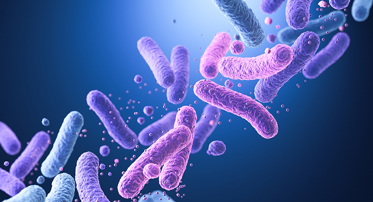 El Hospital Quirónsalud Marbella pone en marcha su nueva Unidad de Microbiota y Longevidad