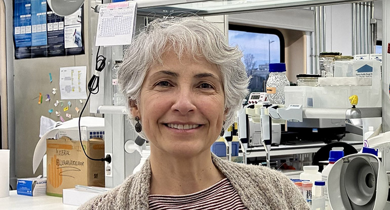 Fenofibrato muestra potencial para retrasar el envejecimiento y mejorar la función cognitiva y cardíaca