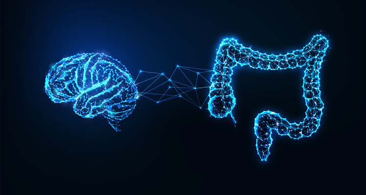 La microbiota intestinal puede alertar de la predisposición genética al Alzheimer antes que sus síntomas