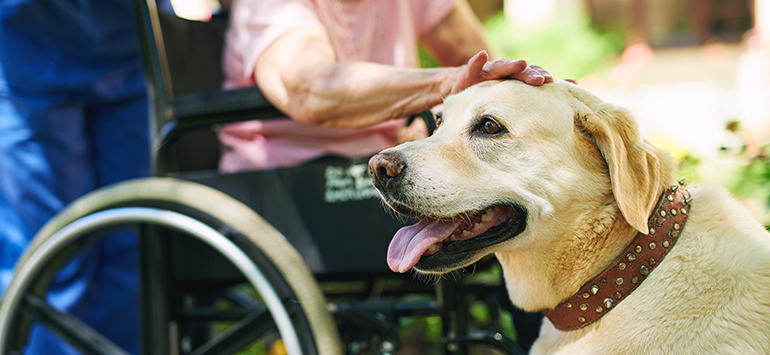 shot-of-a-resident-her-dog-and-a-nurse-outside-in-2022