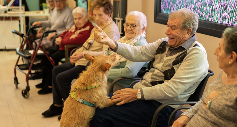 STIMA Sfera: la metodología que combate la soledad no deseada en personas mayores