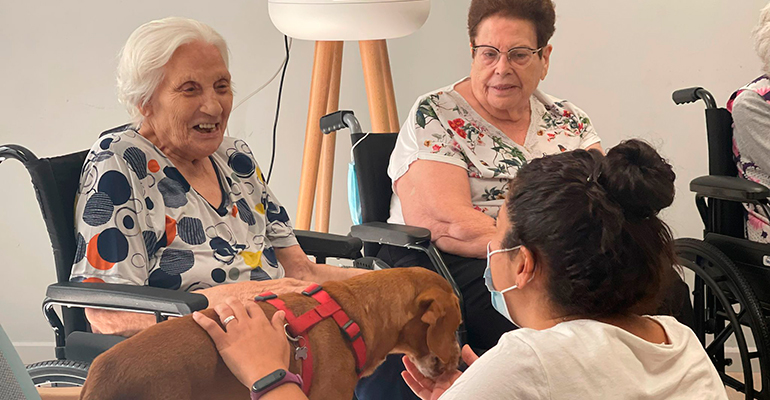 CleceVitam Ceritania organiza una actividad grupal de terapia asistida con perros junto con la entidad Interadog
