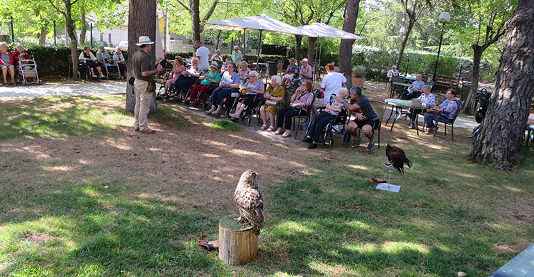 terapia con aves rapaces