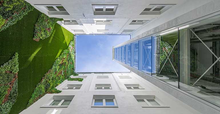 Patio interior con jardín vertical